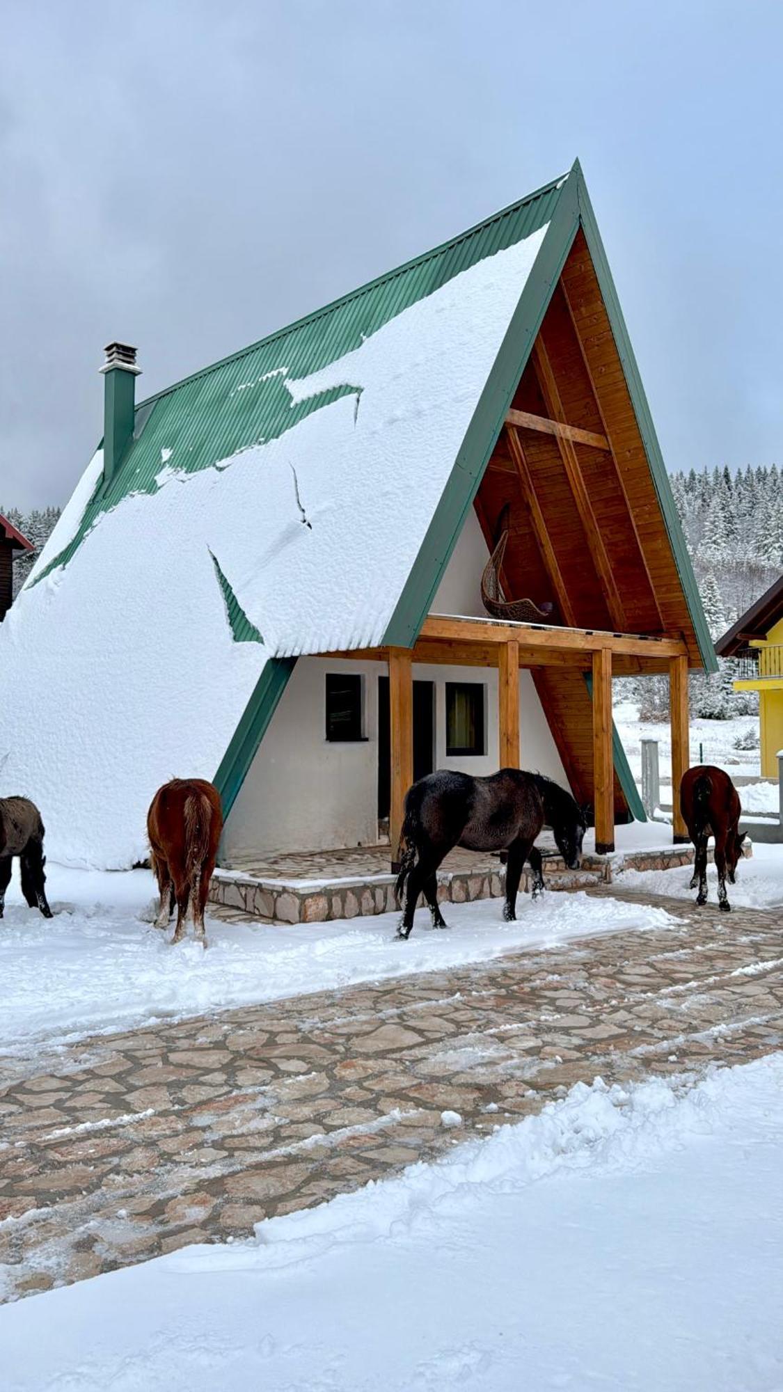 Woodside Zabljak エクステリア 写真